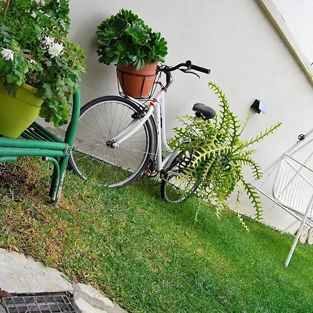 Sunday's Cosy Апартаменты *