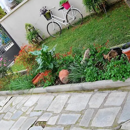 Апартаменты Sunday's Cosy Волос